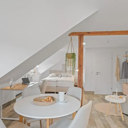 Ricls Boardinghouse Apartment