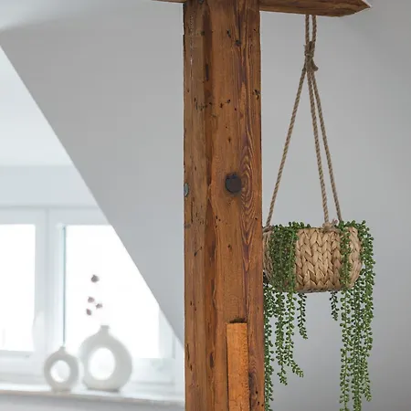 Ricls Boardinghouse * Wurmberg