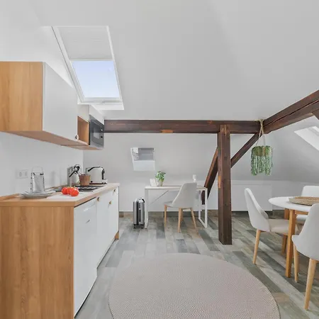 Ricls Boardinghouse Apartment
