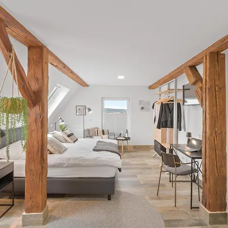 Ricls Apartmenthaus - Bright Collection شقة Wurmberg